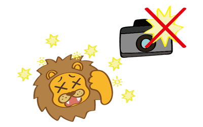 フラッシュ撮影禁止