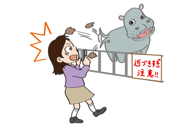 柵やロープを超えて禁止区域に入らない