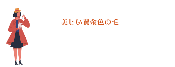 美しい黄金色の毛