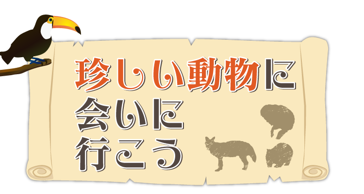 珍しい動物に会いに行こう